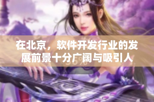在北京，软件开发行业的发展前景十分广阔与吸引人