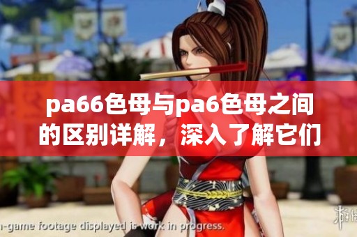 pa66色母与pa6色母之间的区别详解，深入了解它们的特性与应用