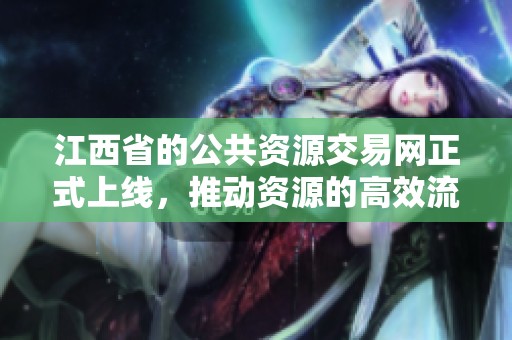 江西省的公共资源交易网正式上线，推动资源的高效流通与利用。