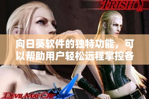 向日葵软件的独特功能，可以帮助用户轻松远程掌控各类设备