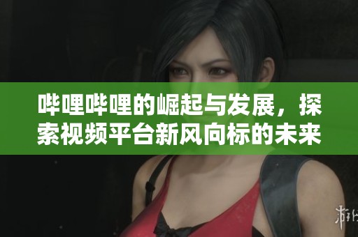 哔哩哔哩的崛起与发展，探索视频平台新风向标的未来趋势
