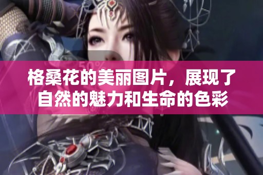 格桑花的美丽图片，展现了自然的魅力和生命的色彩