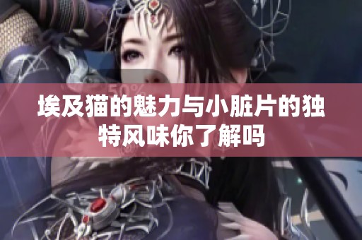 埃及猫的魅力与小脏片的独特风味你了解吗