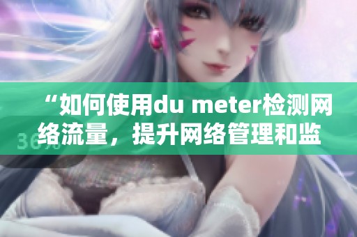 “如何使用du meter检测网络流量，提升网络管理和监控的有效性”