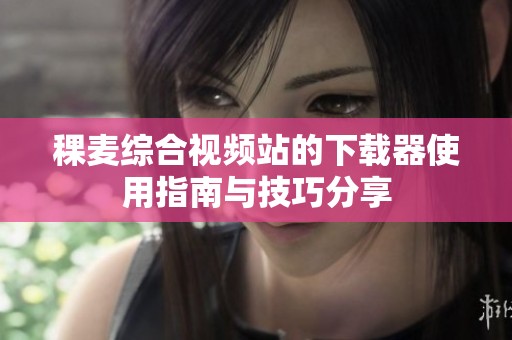 稞麦综合视频站的下载器使用指南与技巧分享