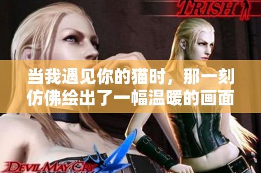 当我遇见你的猫时，那一刻仿佛绘出了一幅温暖的画面