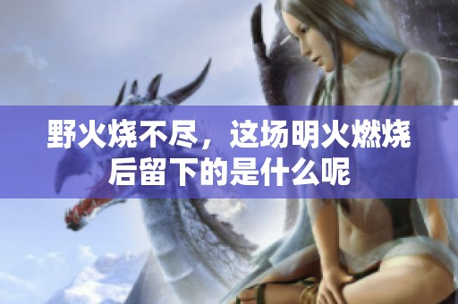野火烧不尽，这场明火燃烧后留下的是什么呢