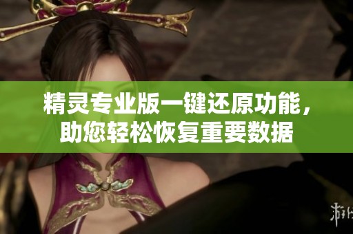 精灵专业版一键还原功能，助您轻松恢复重要数据