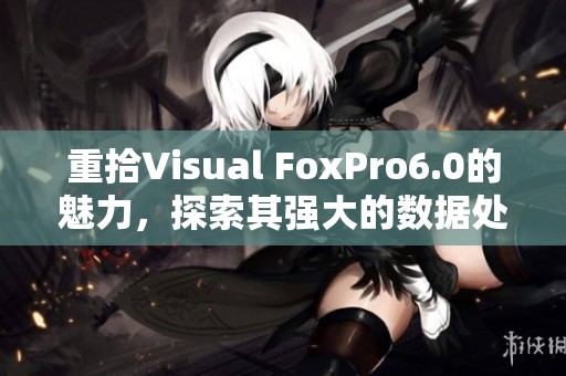 重拾Visual FoxPro6.0的魅力，探索其强大的数据处理功能与应用技巧