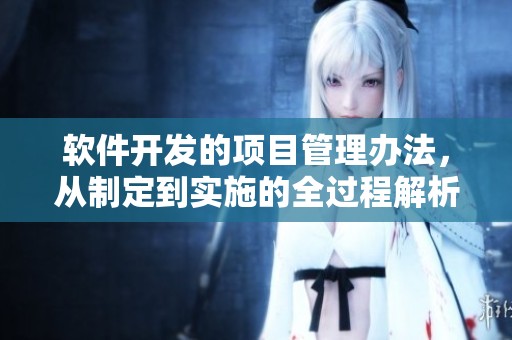 软件开发的项目管理办法，从制定到实施的全过程解析