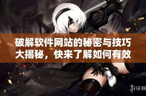 破解软件网站的秘密与技巧大揭秘，快来了解如何有效使用破解软件