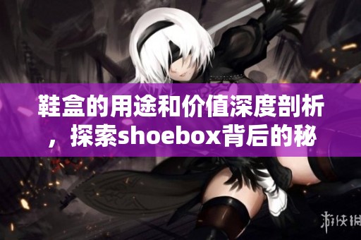 鞋盒的用途和价值深度剖析，探索shoebox背后的秘密与故事